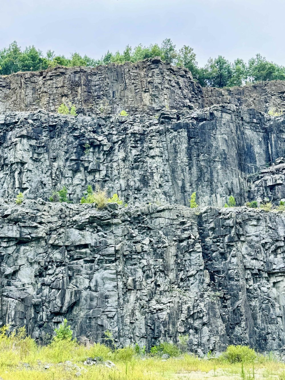Basalt quarry face