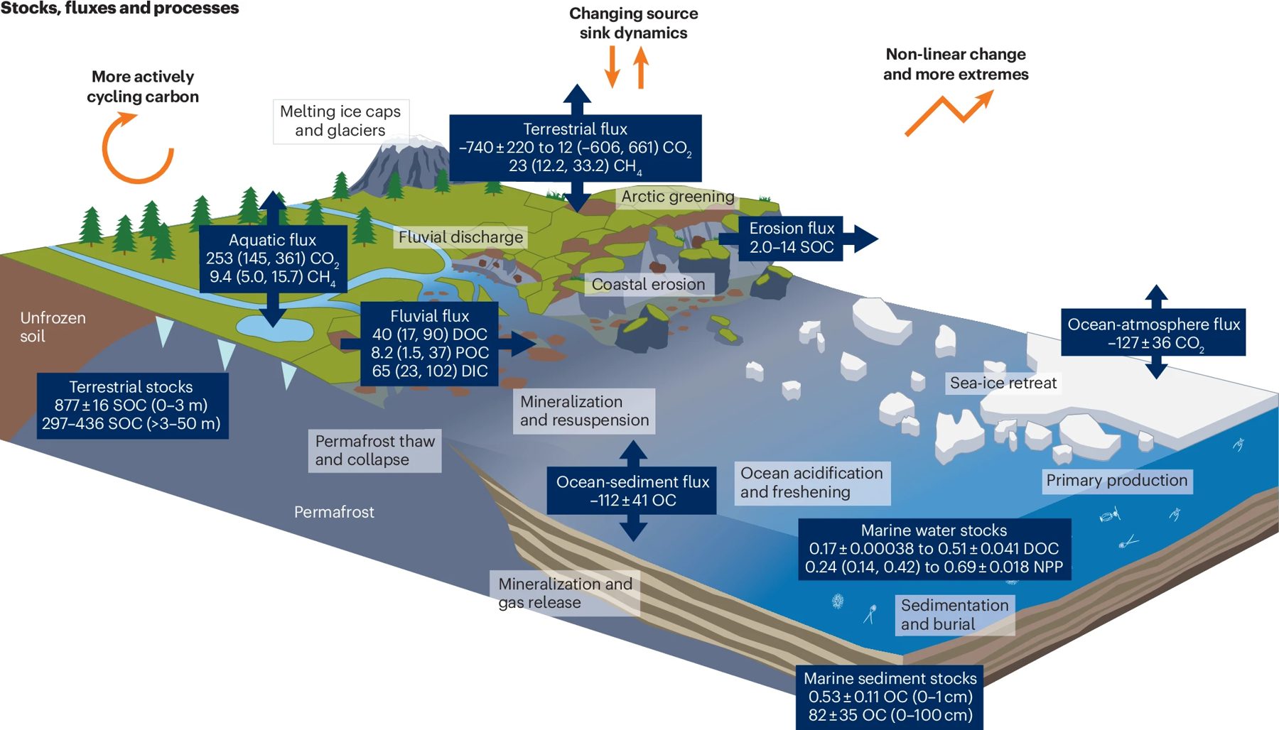 Schematic of the land–ocean Arctic carbon cycle with stocks and fluxes