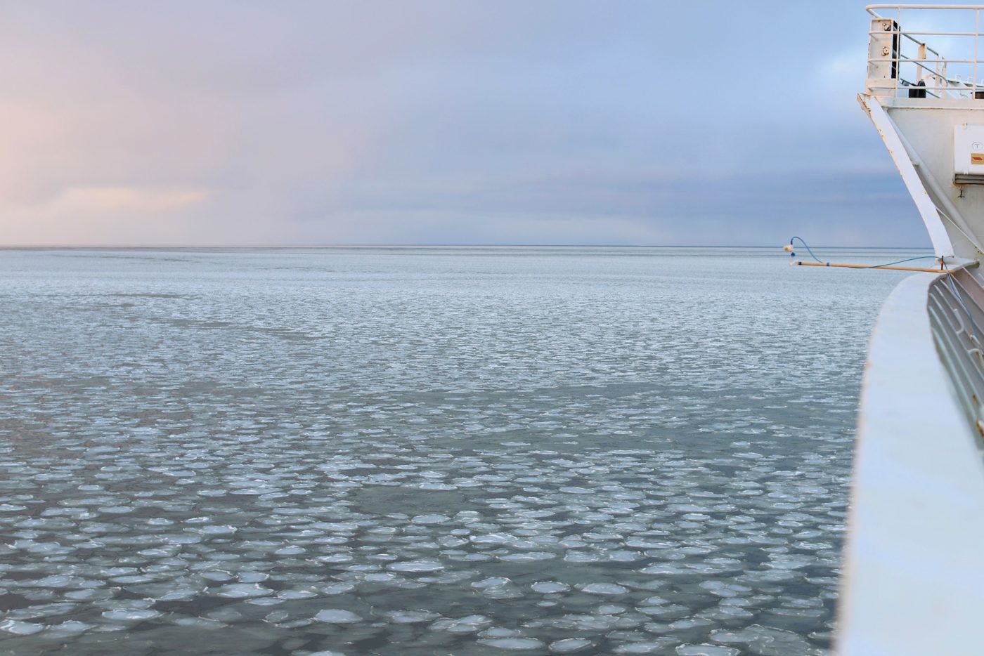 Sea ice seen from the deck of a research vessel